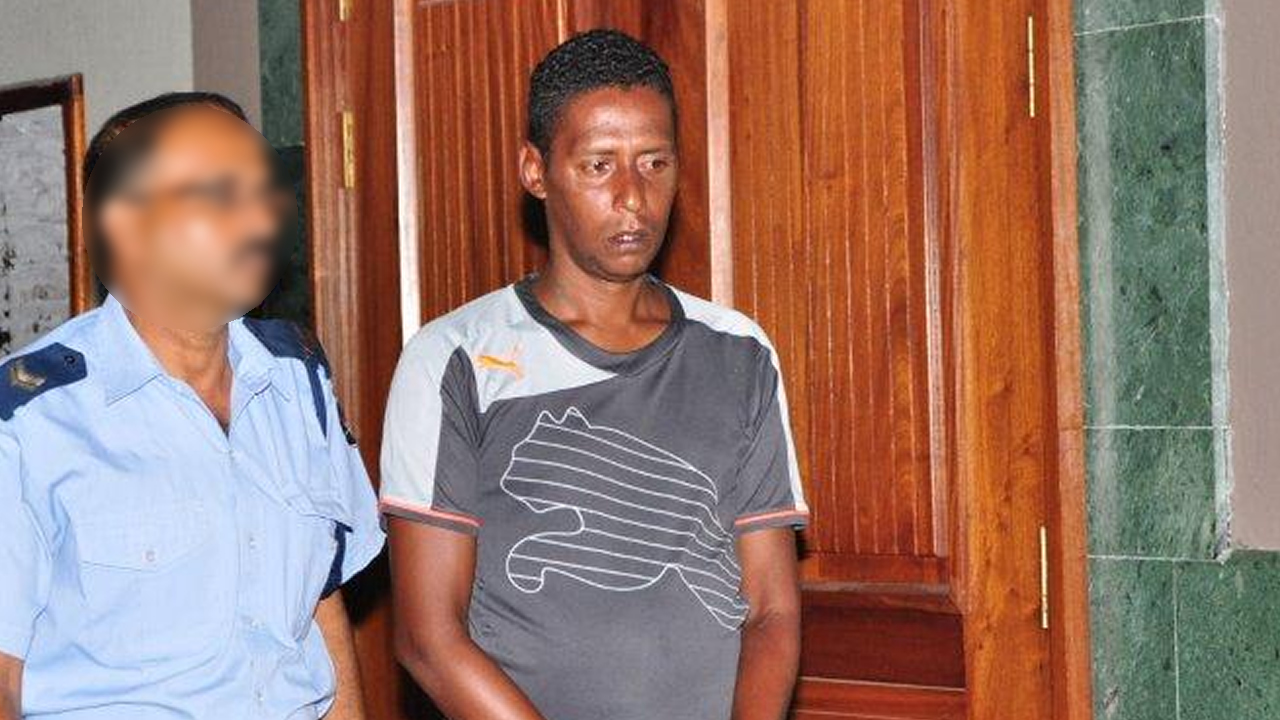 Thesy Steven Robertson