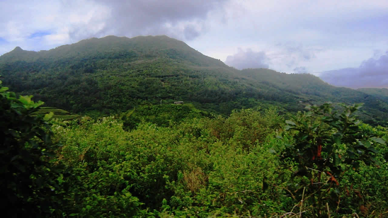 Photo d"illustration