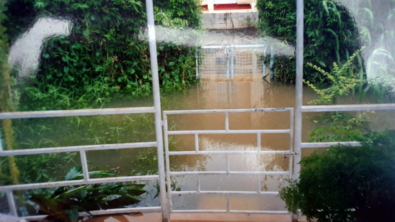 Morcellement Hibiscus à Flacq