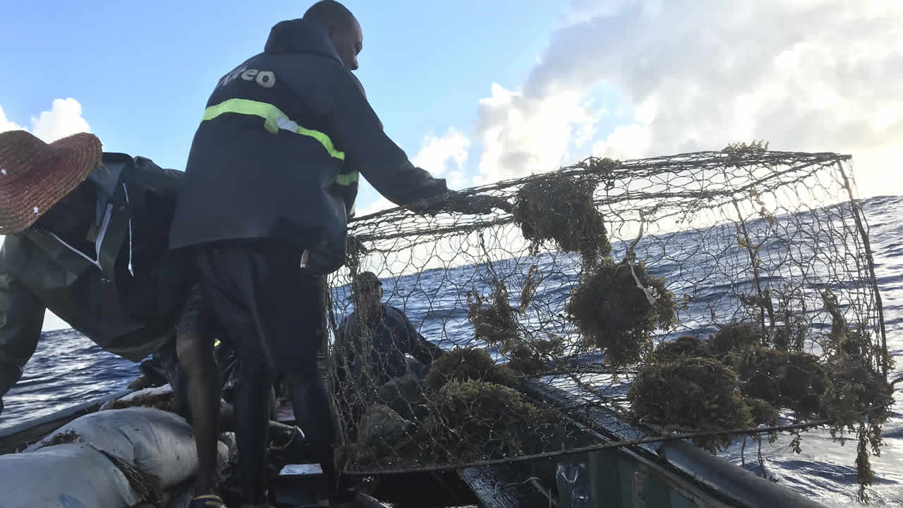 Frédéric et Mylène Montaigue