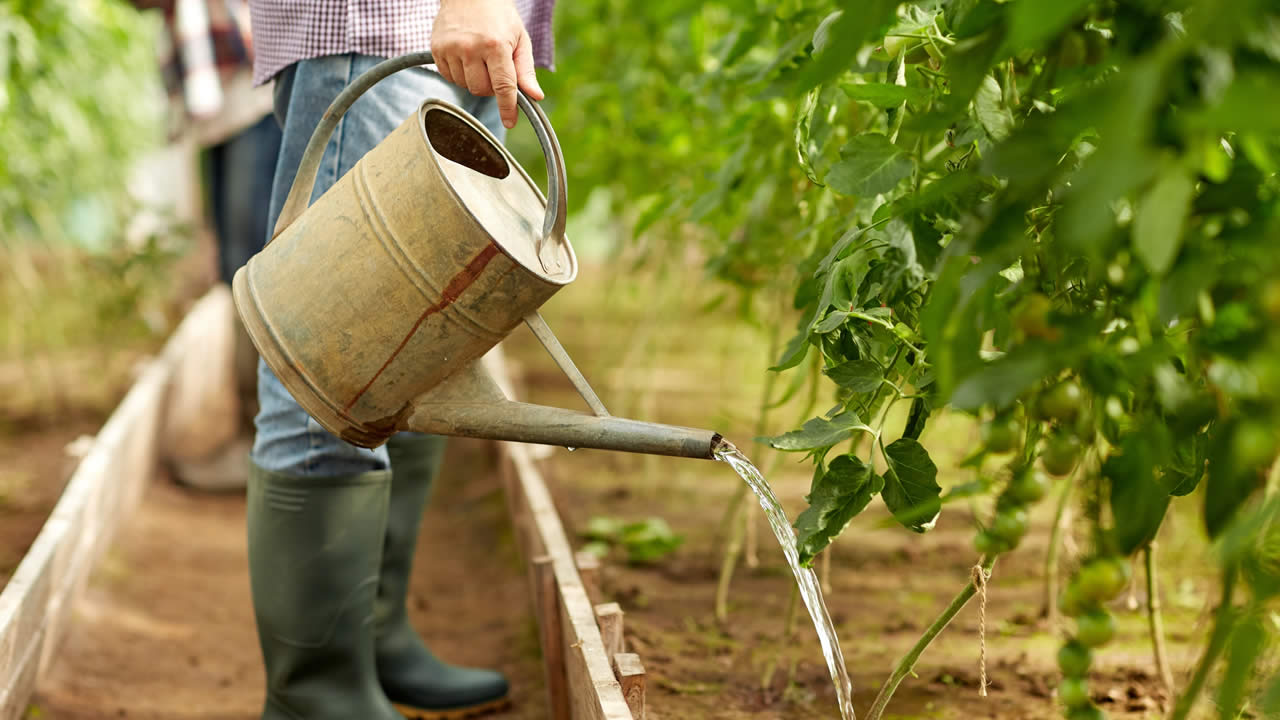Agriculture raisonnée des jardins de Médine