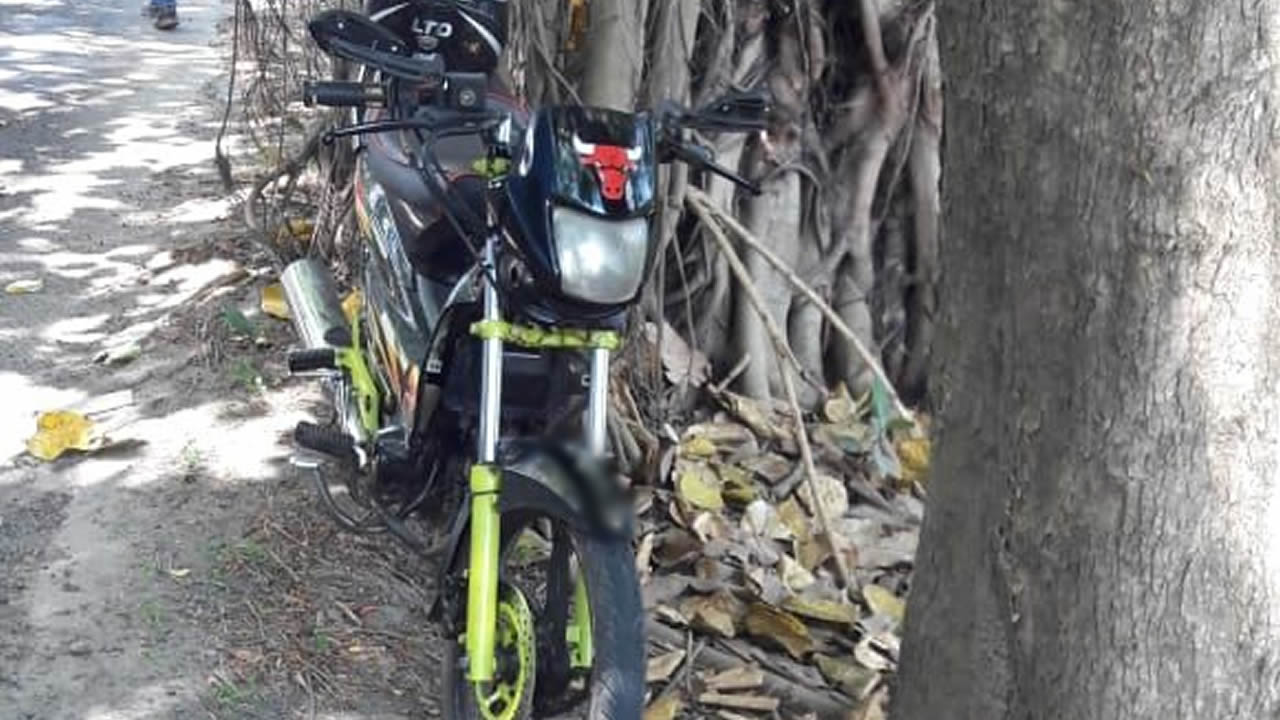 Vols de litchis dans le Nord