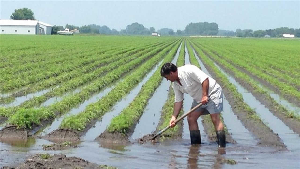 innondation agriculture