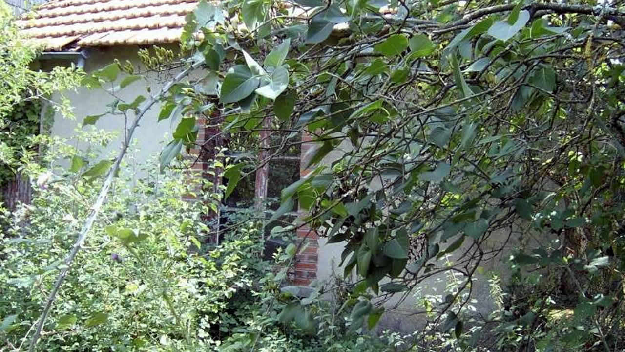 Terrain voisin laissé à l’abandon