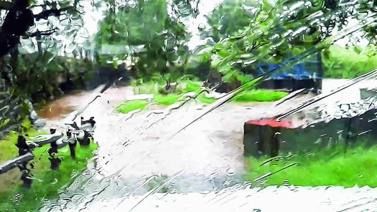 rivière à La Flora