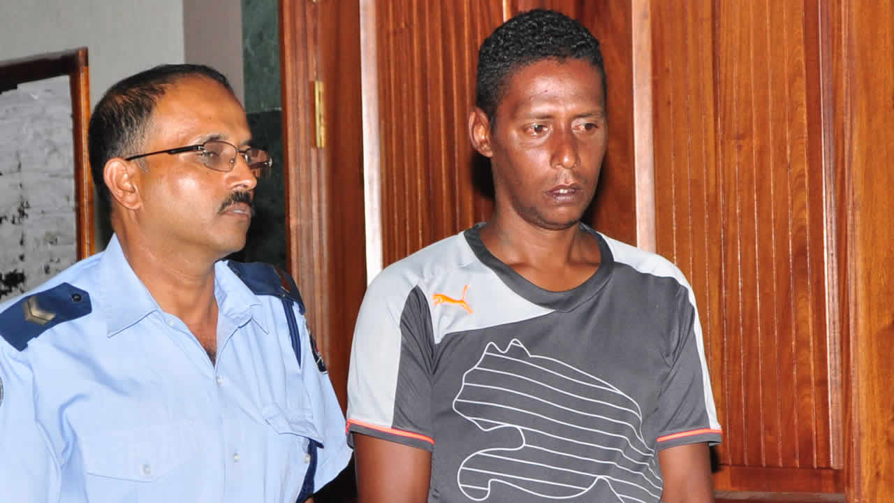 Thesy Steven Robertson