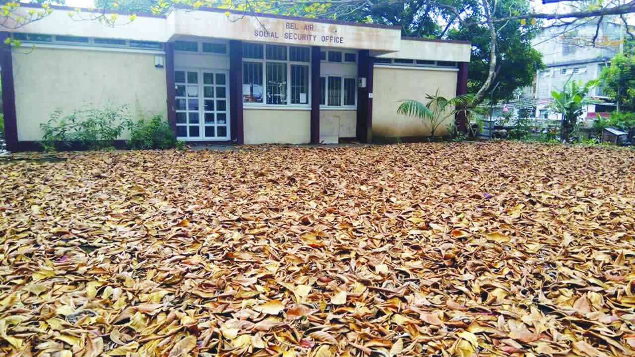 Des ordures et des feuilles mortes entassées sur un terrain privé à Bel-Air-Rivière-Sèche.