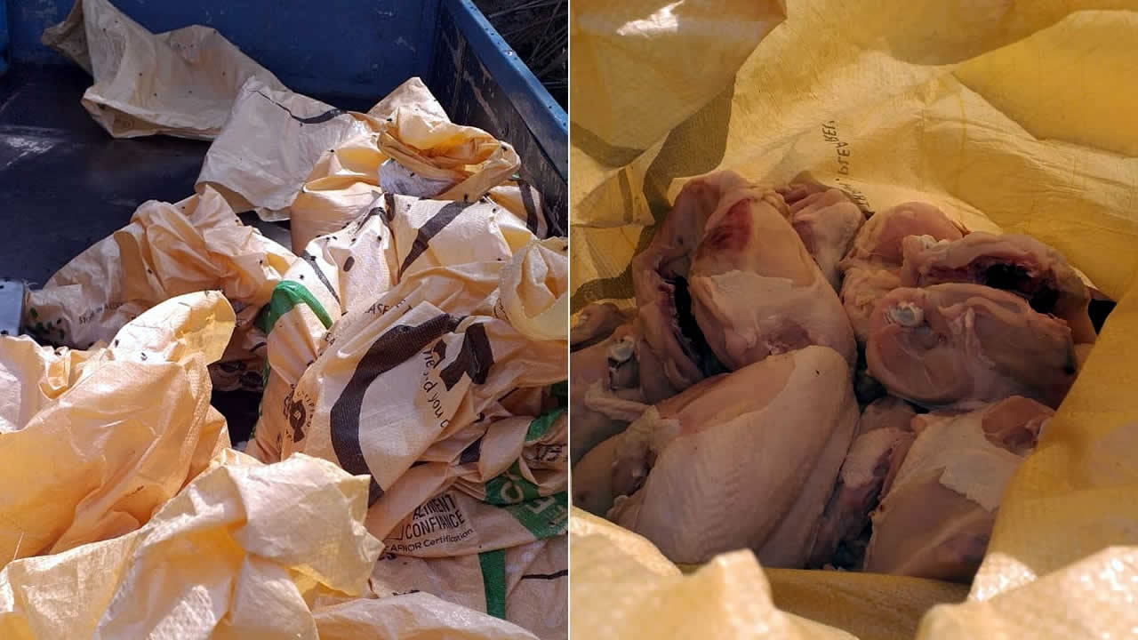 Le poulet était dans des sacs en raphia