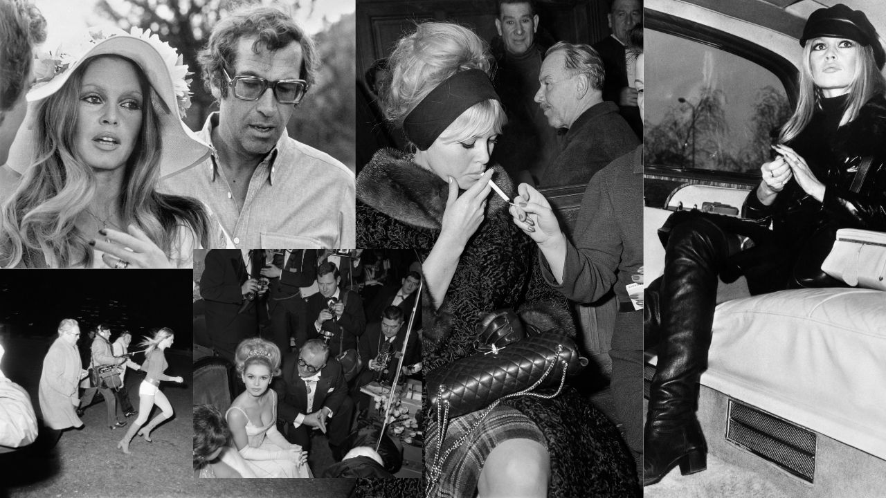 Brigitte Bardot collage