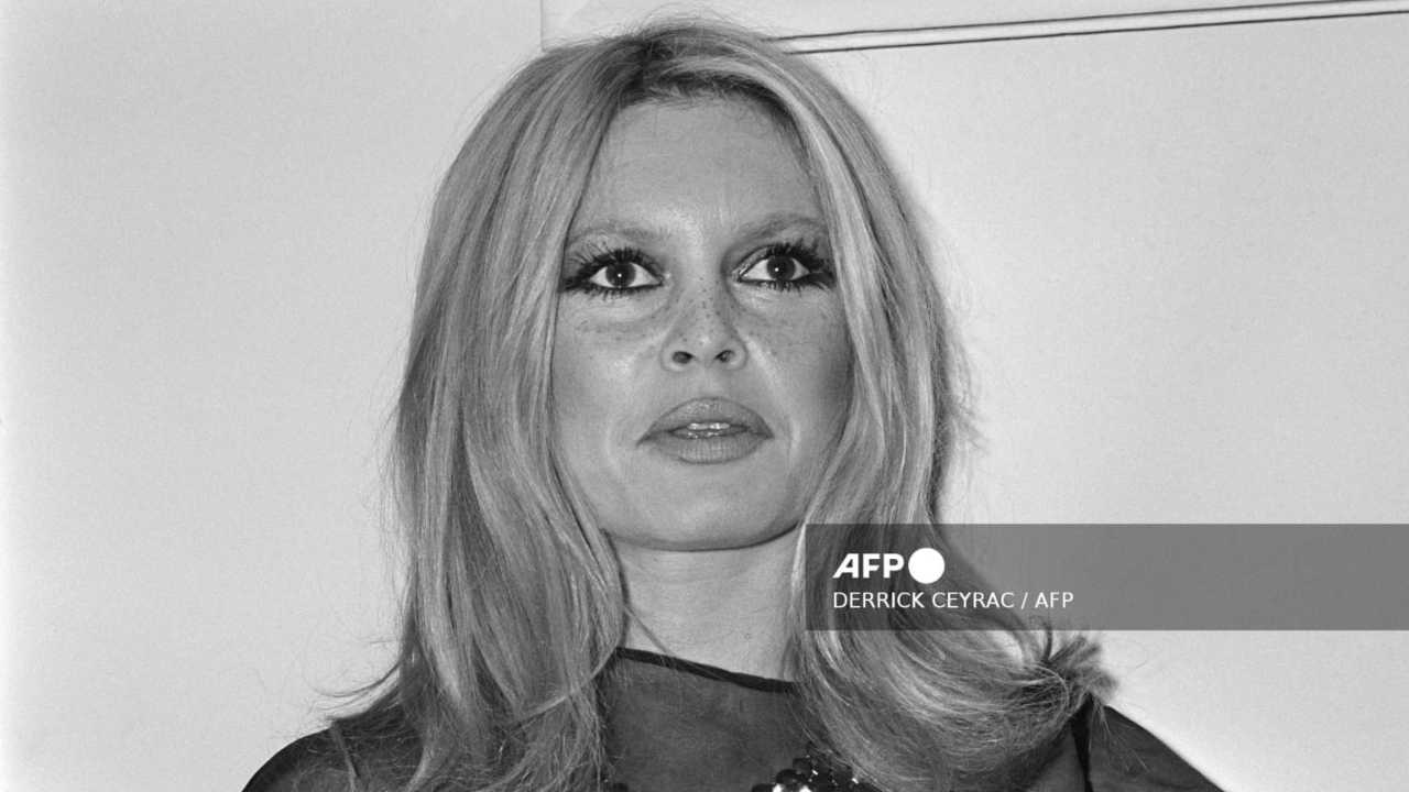 bardot 281225