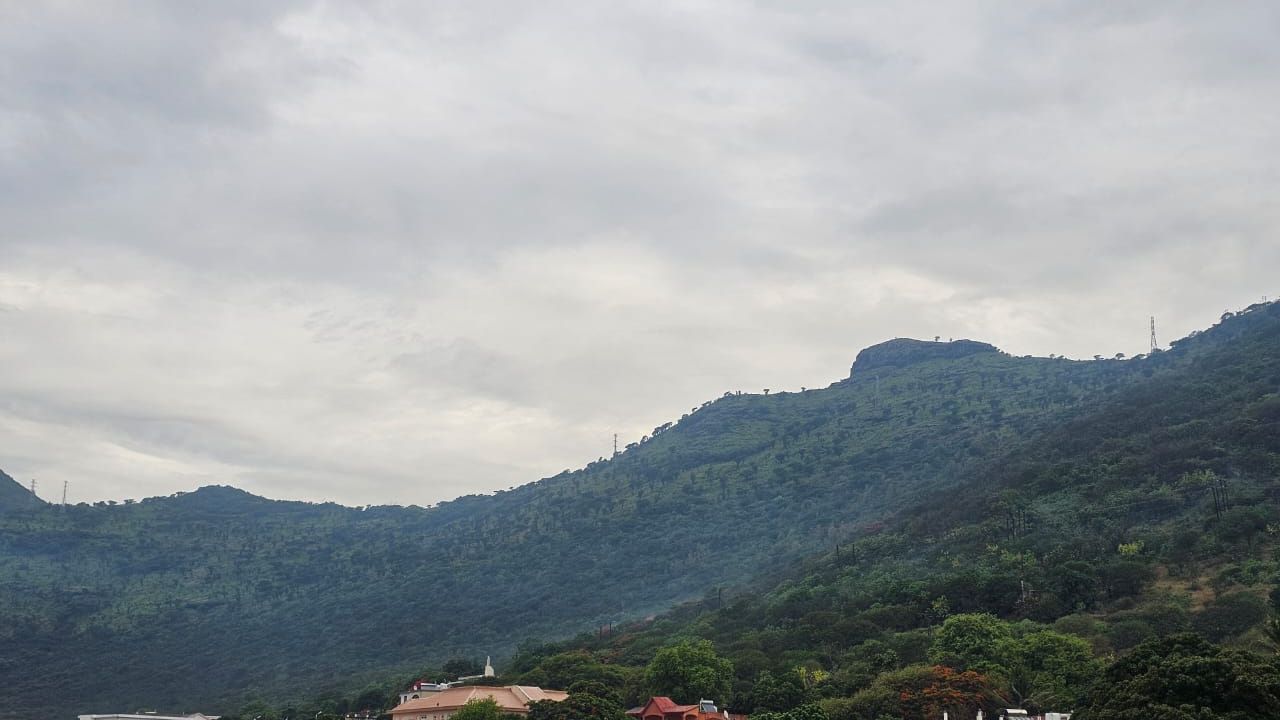 31.12.25 Port-Louis temps