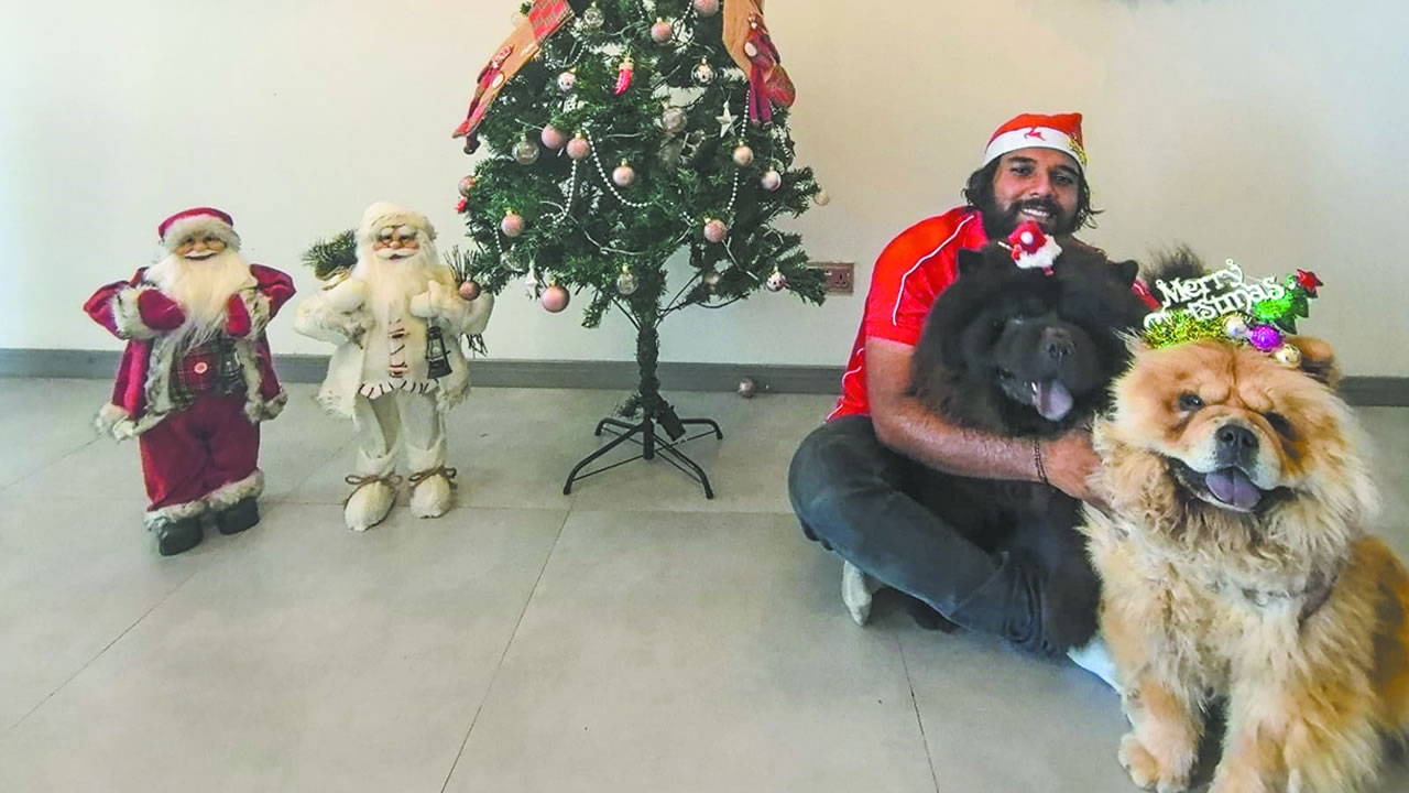 Noël prolongé : la leçon de bonheur de nos amis les animaux