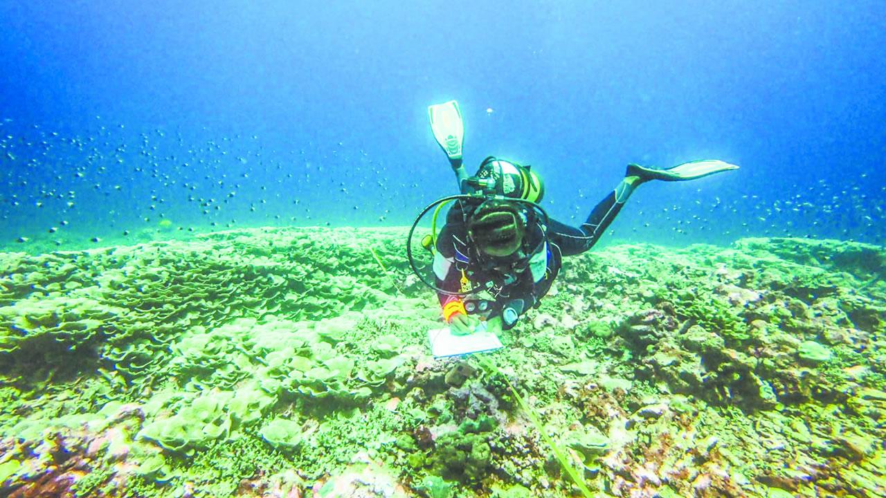 Sous la surface,  la science en action !