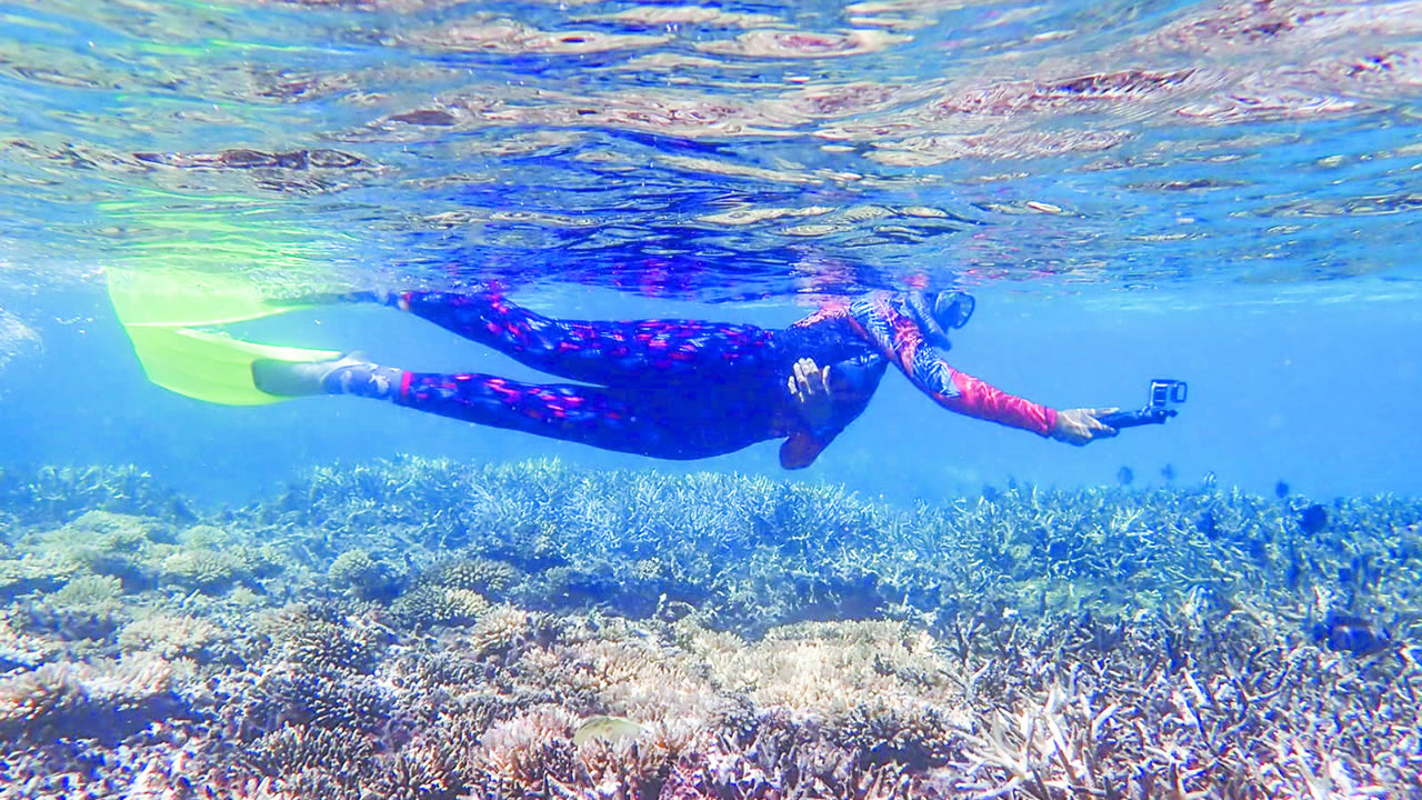 Sous la surface à la découverte du Blue-Bay Marine Park. 