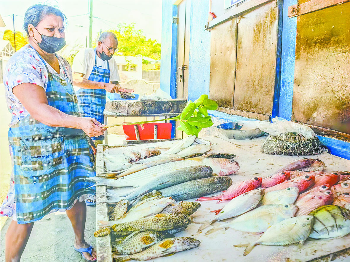 Des vendeurs de poissons au bord de la route à Grand-Gaube.