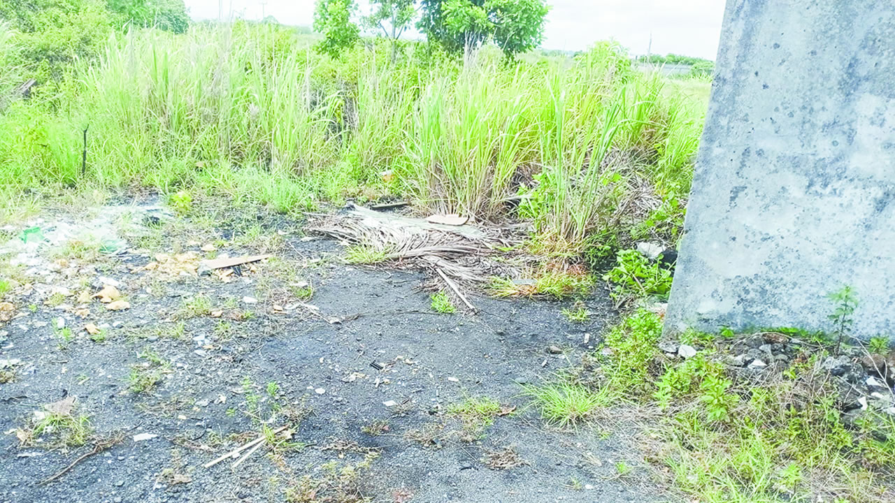 Fort heureusement, les autorités ont vite réagi et le lieu a été nettoyé.