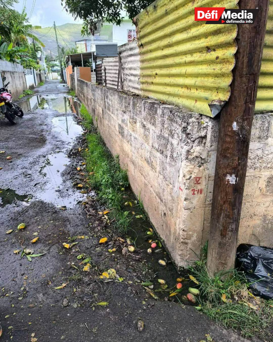 Le Hochet, Terre-Rouge : depuis huit ans, des accumulations d’eau entravent le quotidien des habitants