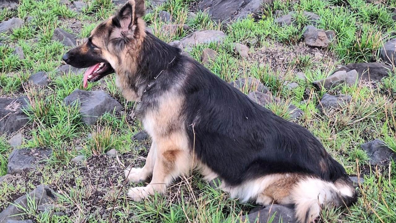 Camp-Levieux : aidez à retrouver Juhi