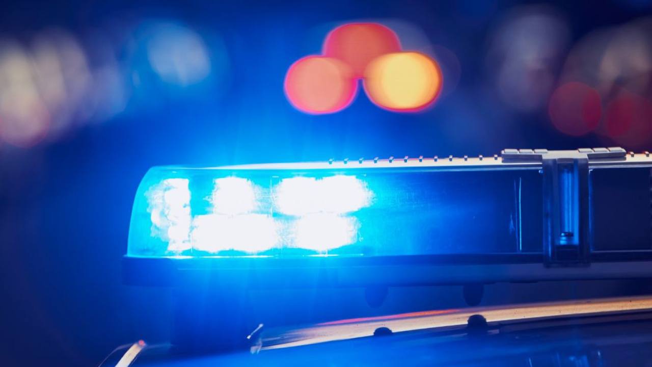 Japon : des feuilles de thé provoquent un accident routier mortel