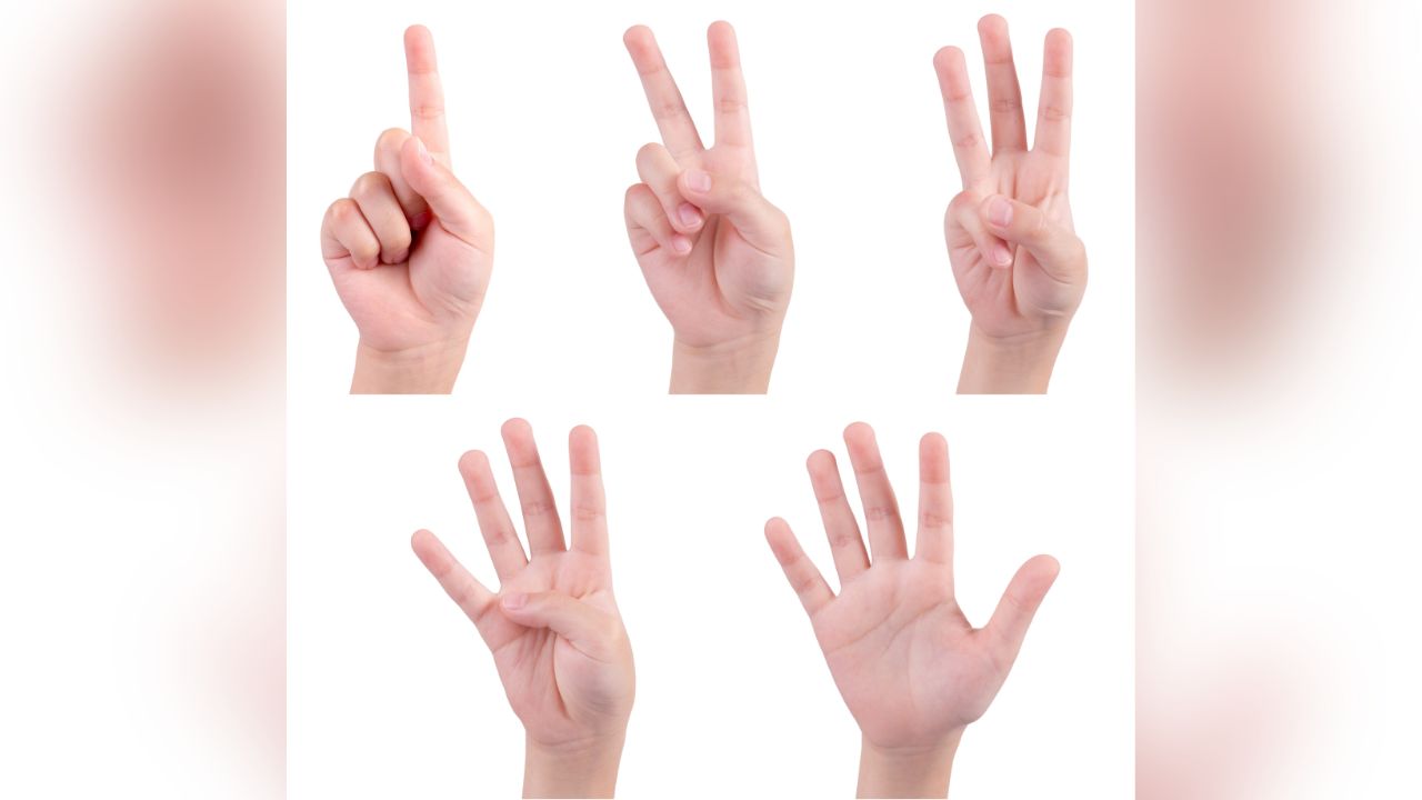 Langue des signes mauriciens 220126