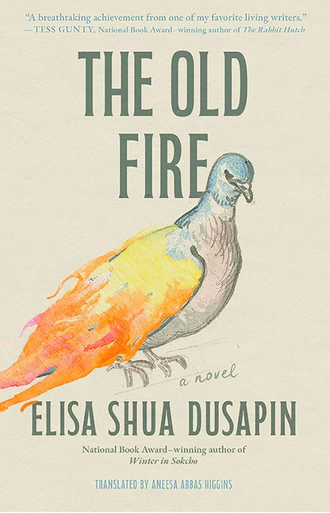 The Old Fire 
