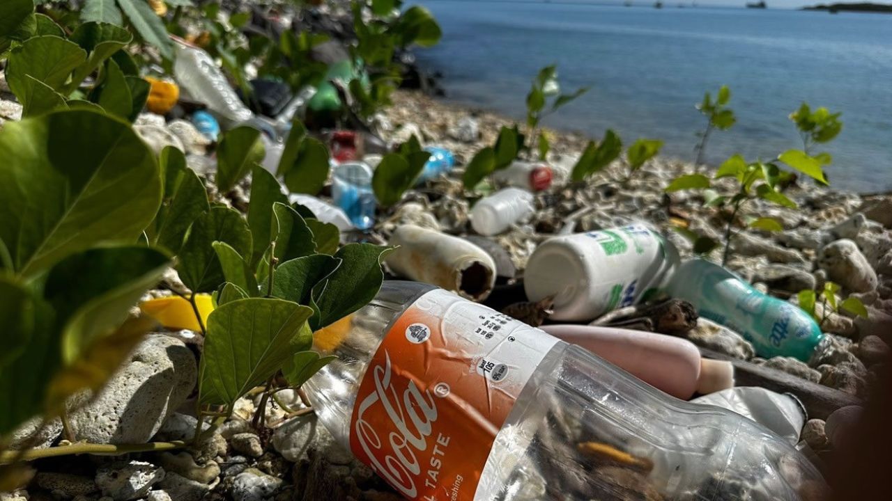 dechets sur plage 050126