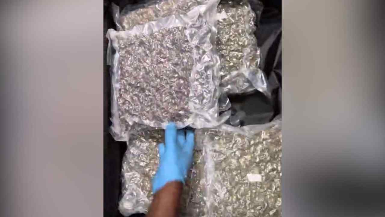 drogue saisie sur deux françaises 