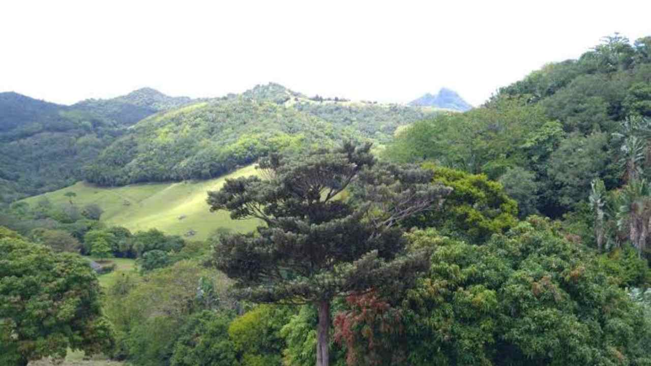 210226- valley de ferney