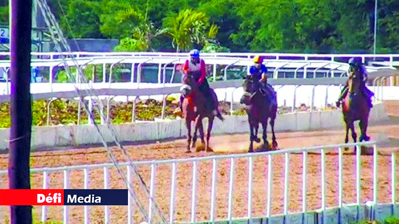 Global Equestrian Ltd était active dans l’élevage et l’entraînement de chevaux.