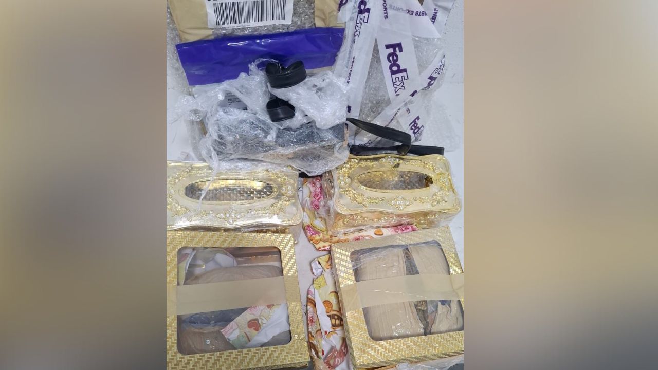 cannabis saisi en provenance d’Afrique du Sud 130326