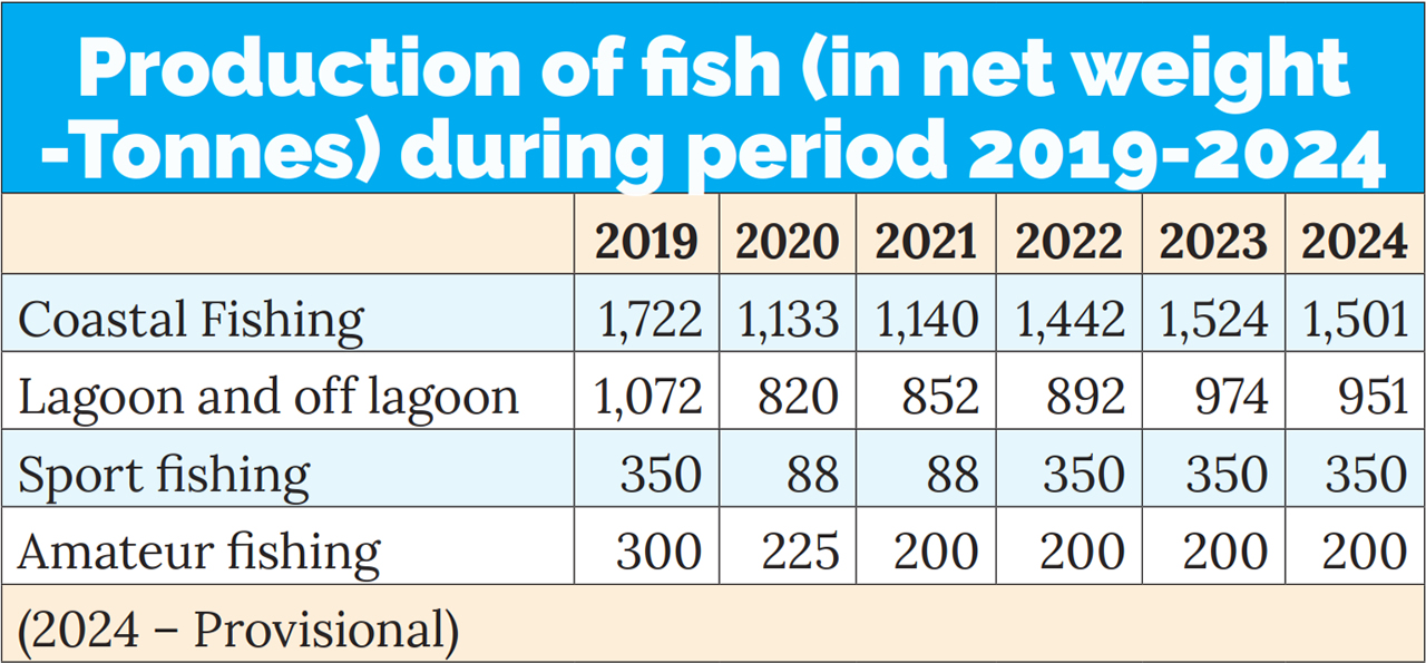 poisson-peche-Économie bleue