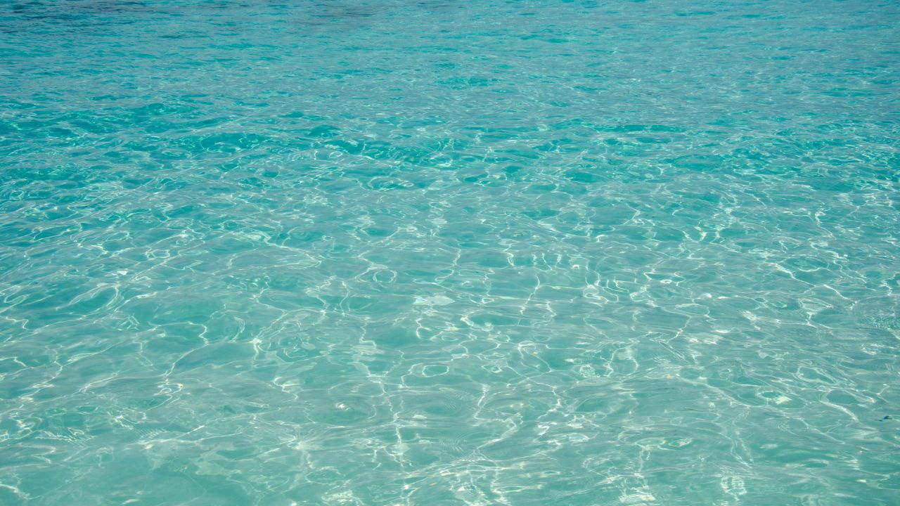 Tamarin : un enfant de 10 ans attaqué par des requins