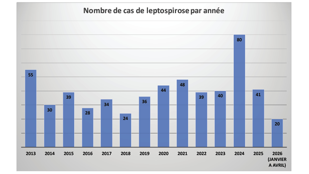 Leptospirose