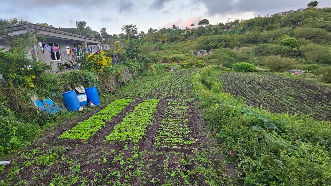 Les  producteurs locaux doivent disposer des moyens nécessaires pour produire durablement.