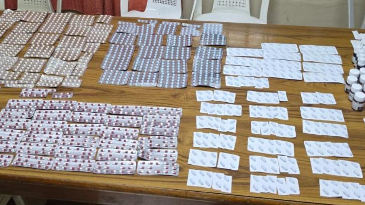 Terre-Rouge : importante saisie de drogue et de comprimés psychotropes