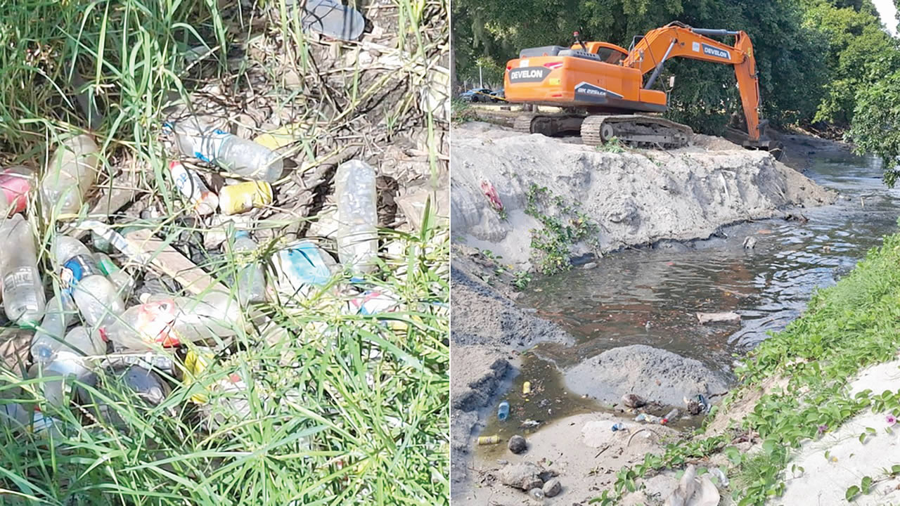 environnement