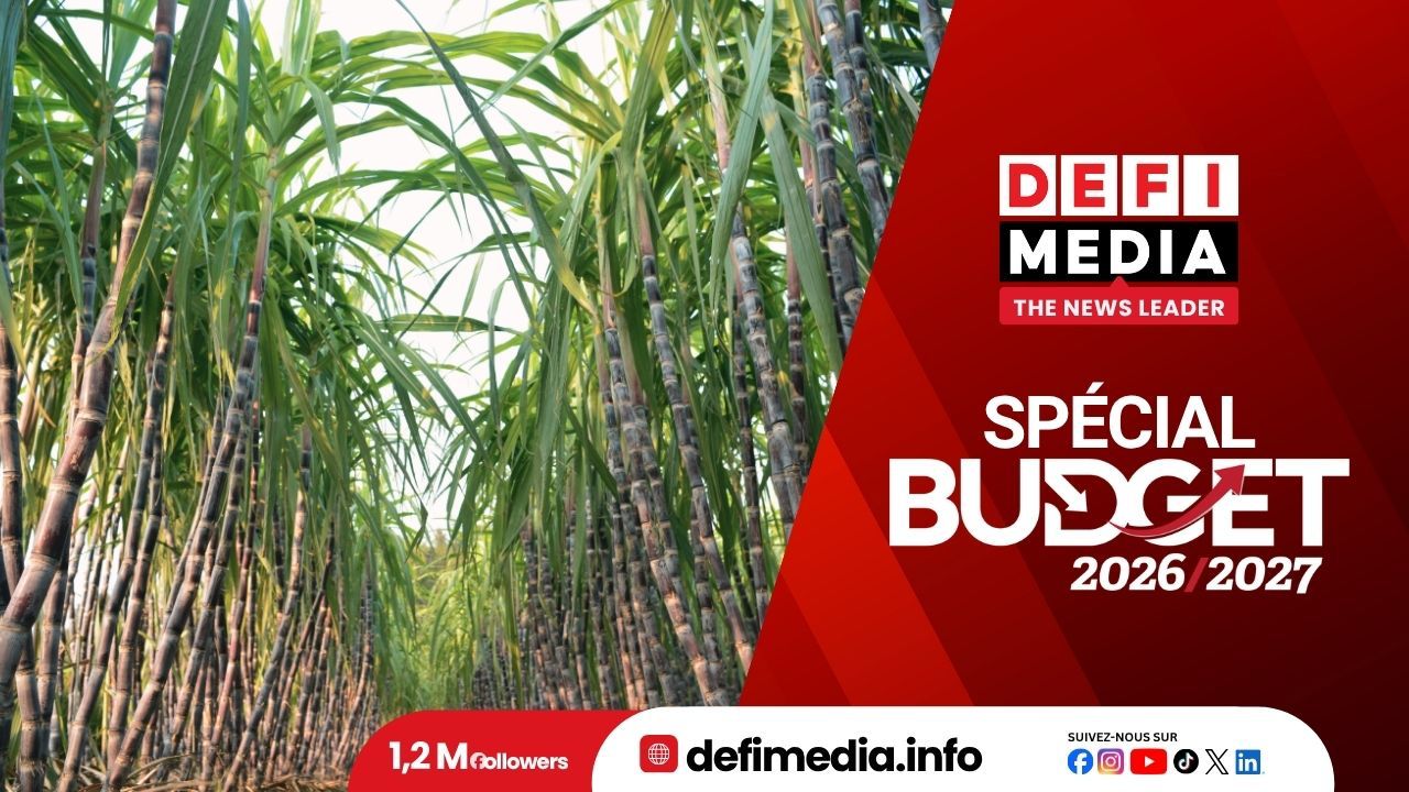 Budget 2026-2027  Rs 100 millions par an pour relancer la production sucrière