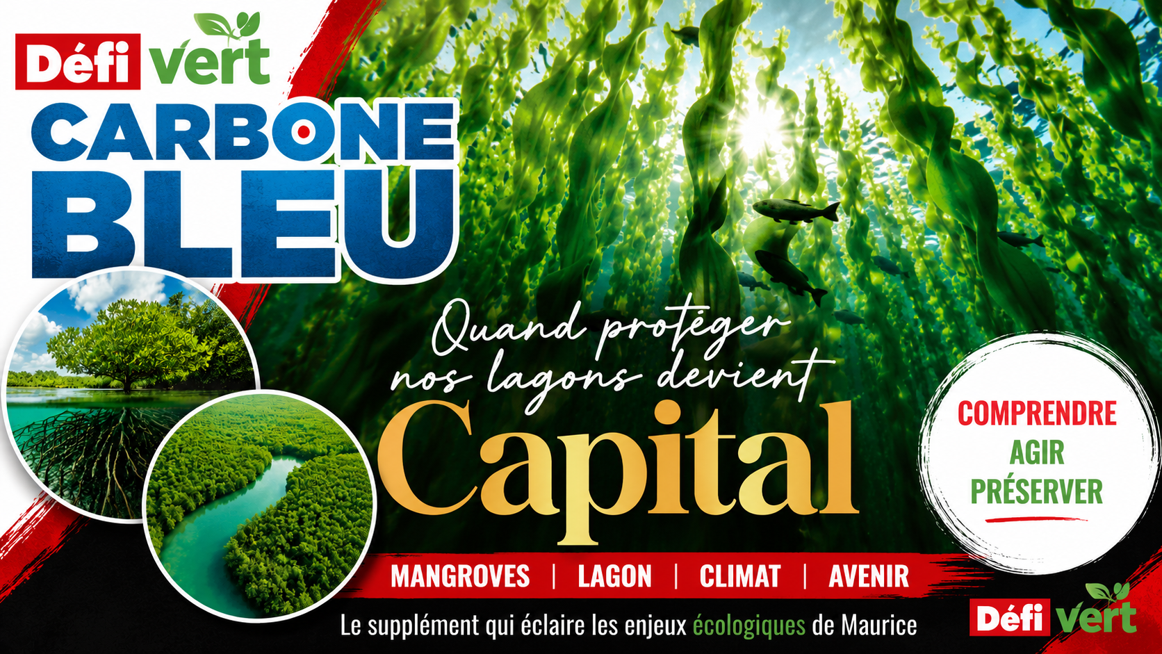 Carbone bleu
