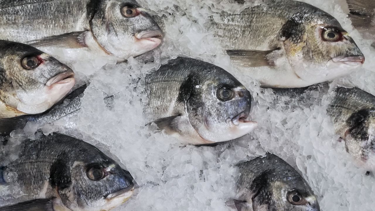 poissons