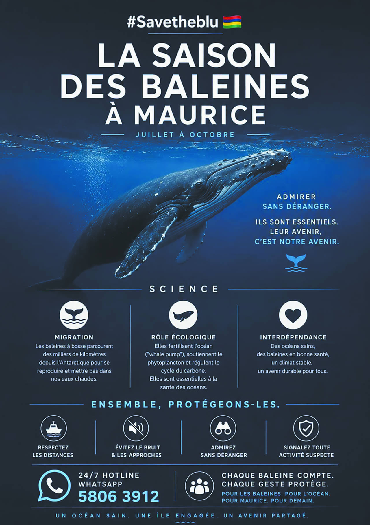 balaine