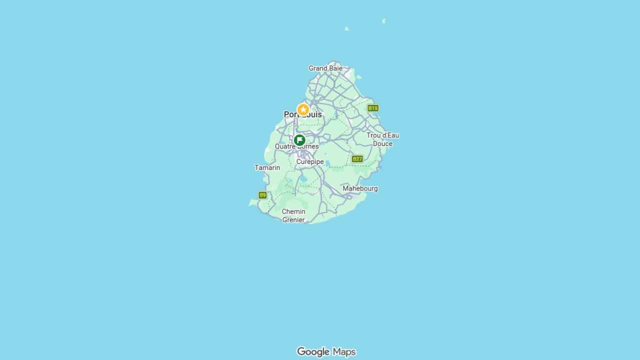 google map