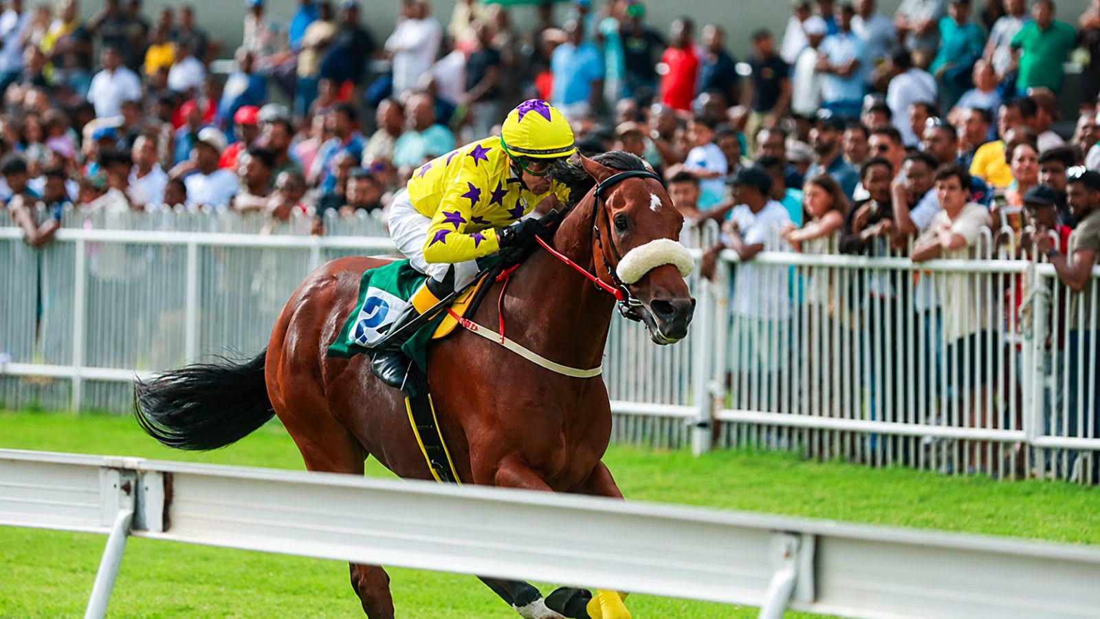 Hippisme - Mauritius Derby annulée : La GRA refuse la dérogation sollicitée par la MTCJC