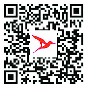 scan