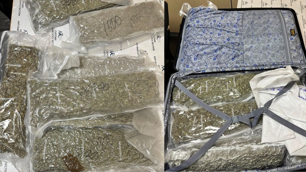 62,5 kg de cannabis sur un sergent 010726