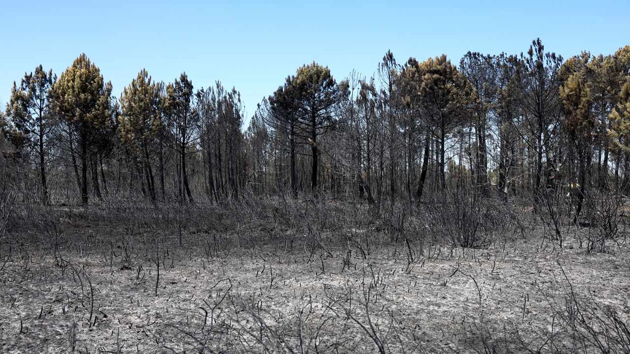 Incendie en Gironde (France) : plus de 2 000 hectares dévorés par les flammes, des milliers d’évacués