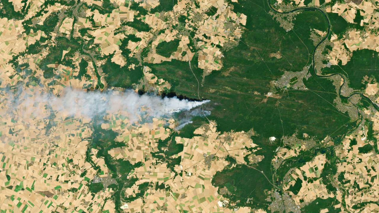France : plus de 1.300 hectares de la forêt de Fontainebleau brûlés