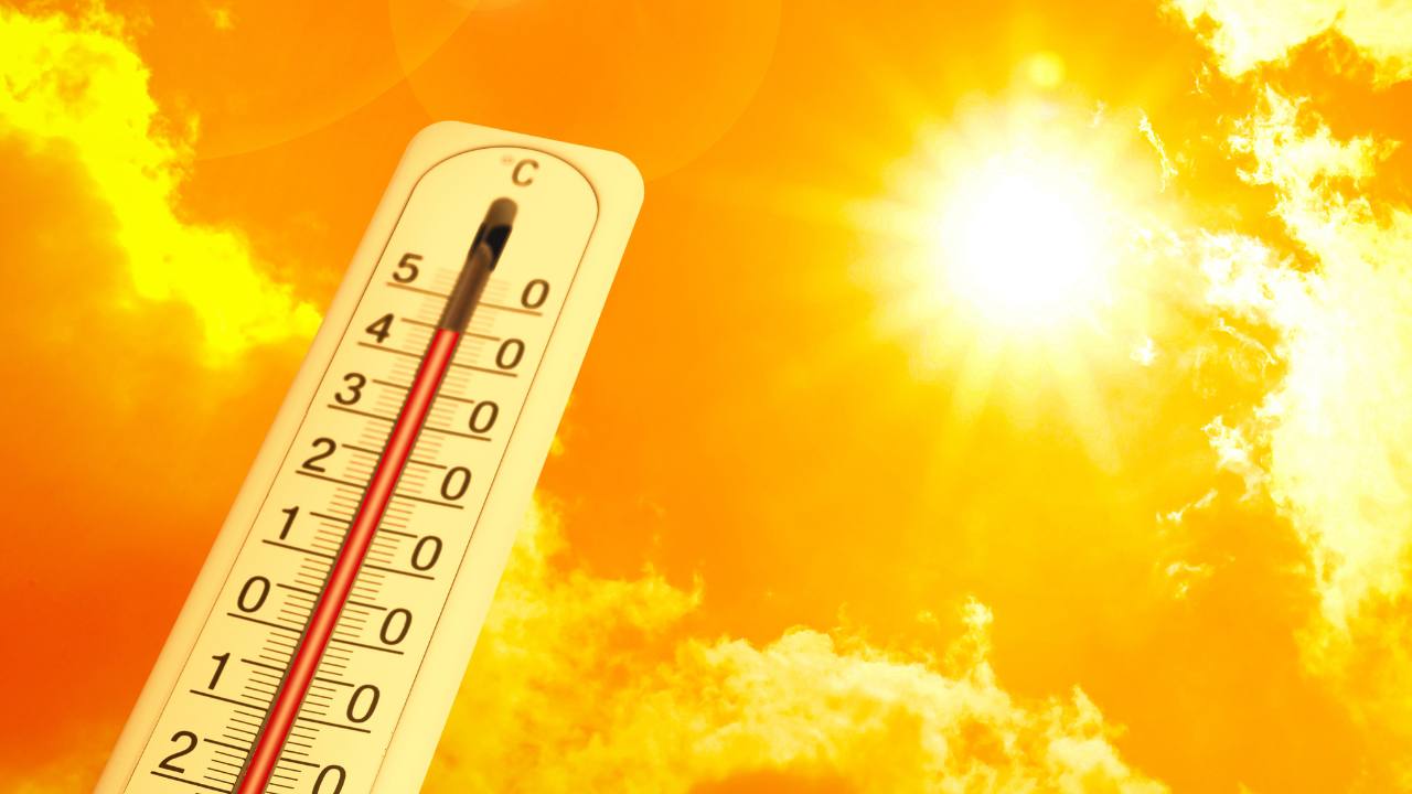 France : les décès ont augmenté de presque 30% la semaine de la canicule