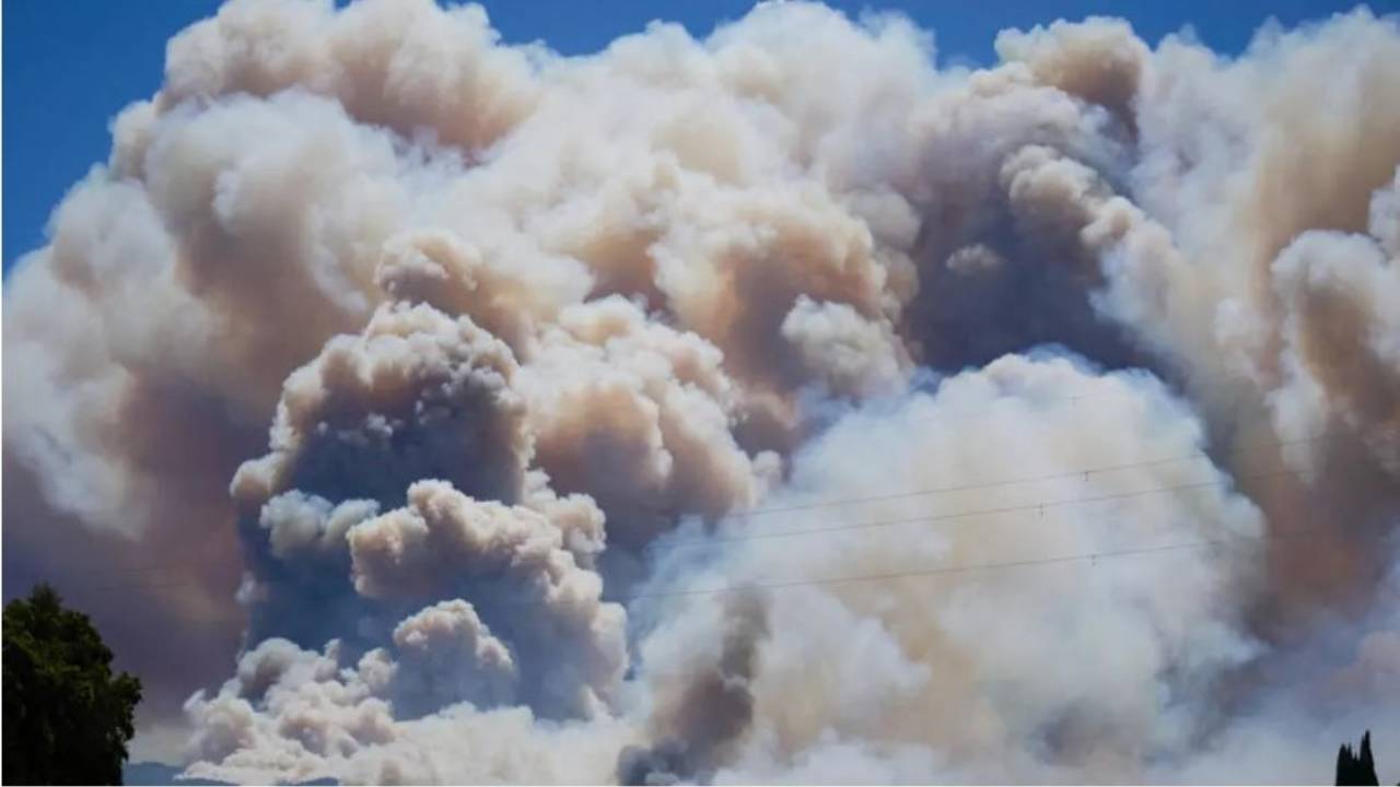 Un feu de forêt fait 12 morts dans le sud de l'Espagne