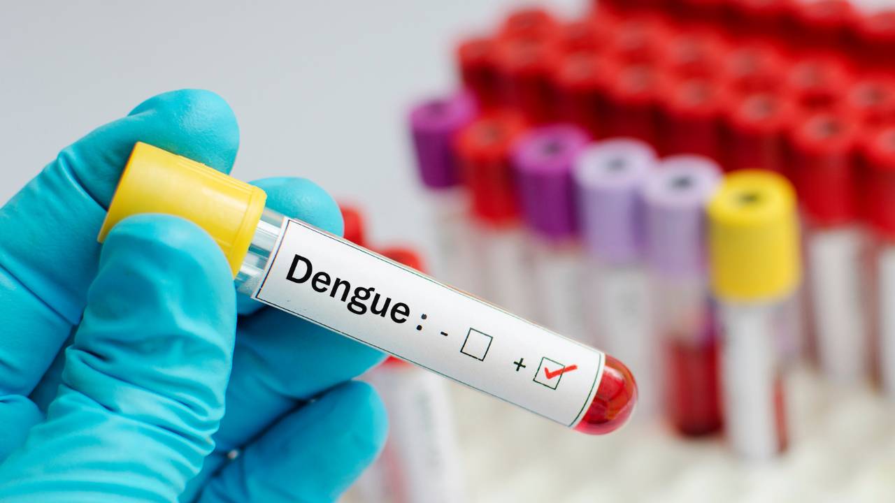 Sri Lanka : une épidémie de dengue fait 49 morts