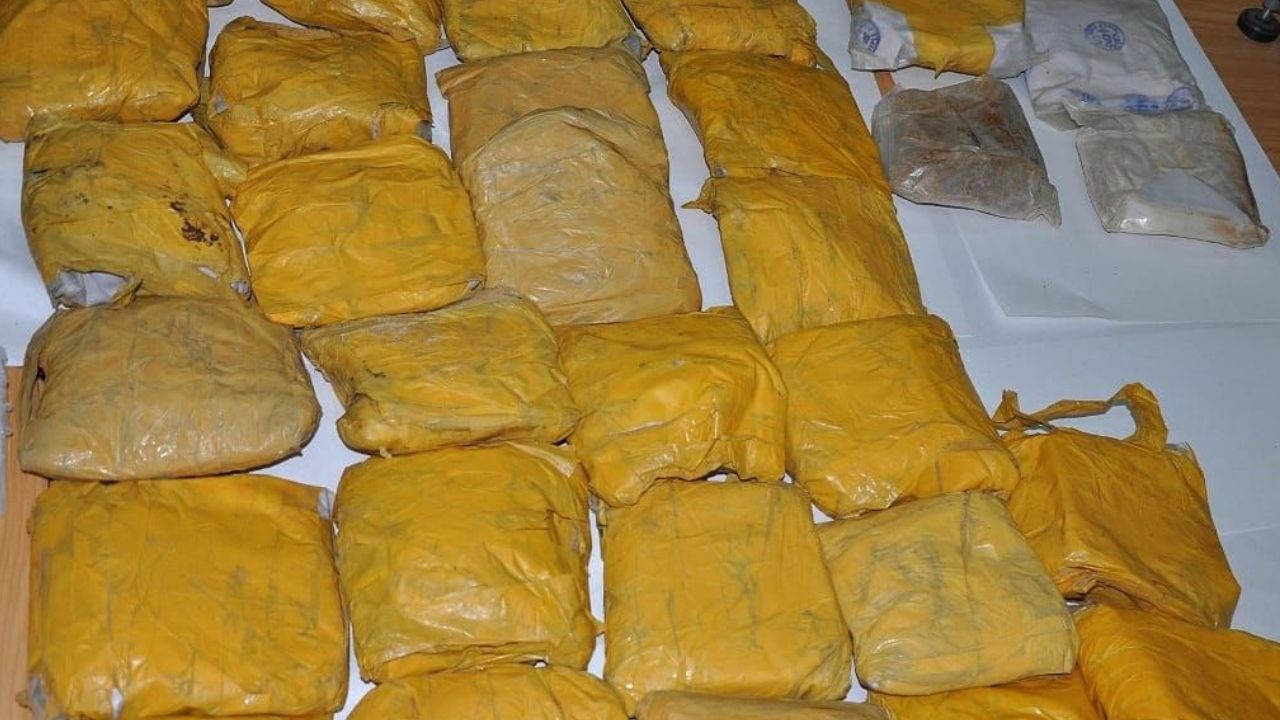 drogue saisie a pte o cannoniers